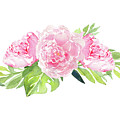 Peony Cluster