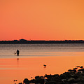 Day's End