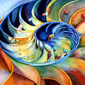 Nautilus